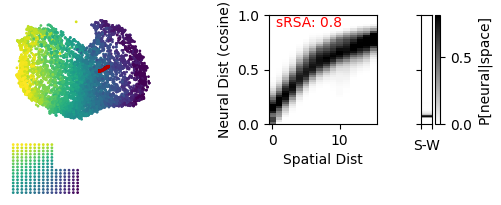 Representational geometry comparison between neural and spatial low-dimensional spaces.